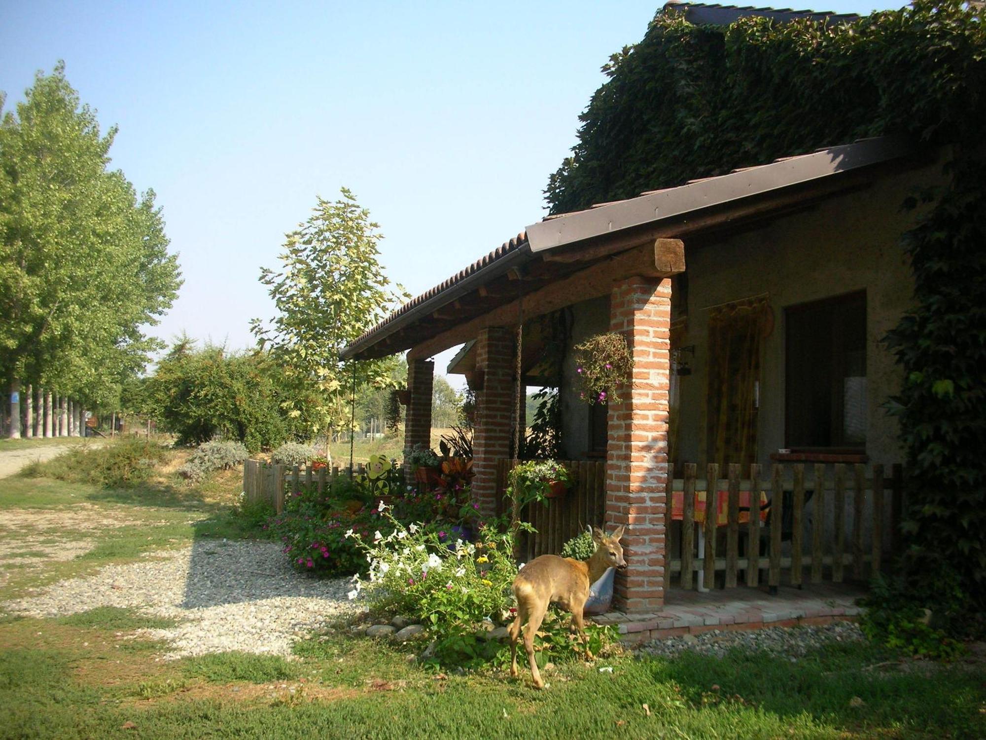 Vila Cascina Beneficio Castelnuovo Bormida Exteriér fotografie
