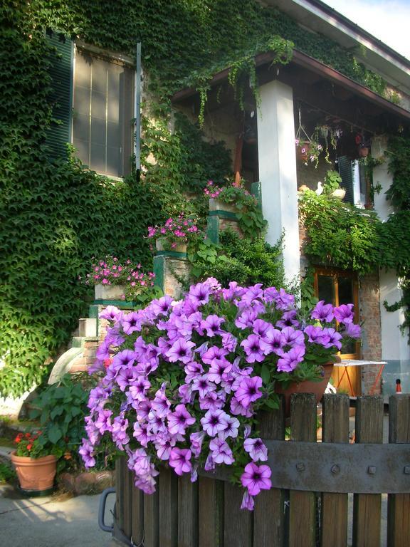 Vila Cascina Beneficio Castelnuovo Bormida Exteriér fotografie